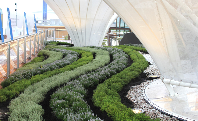 �������� ��������. ������ � ���� �� ������. ���������� � ���� ����������, 05.2015