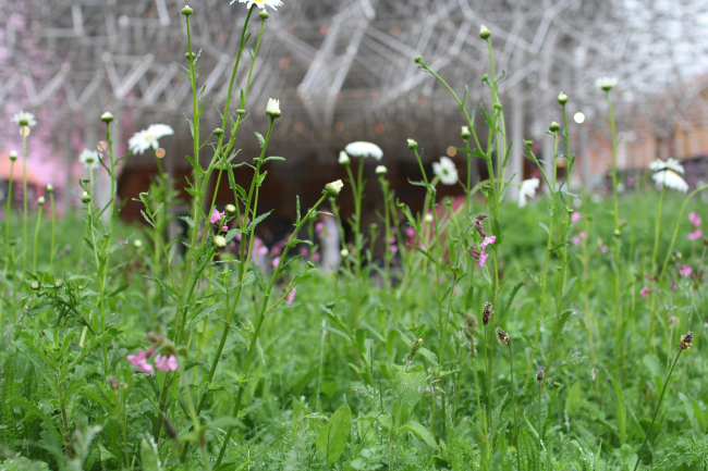 �������� ��������������. ��� ��������� ������� ����� ����� ���������� � ���. ���������� � ���� ����������, 05. 2015