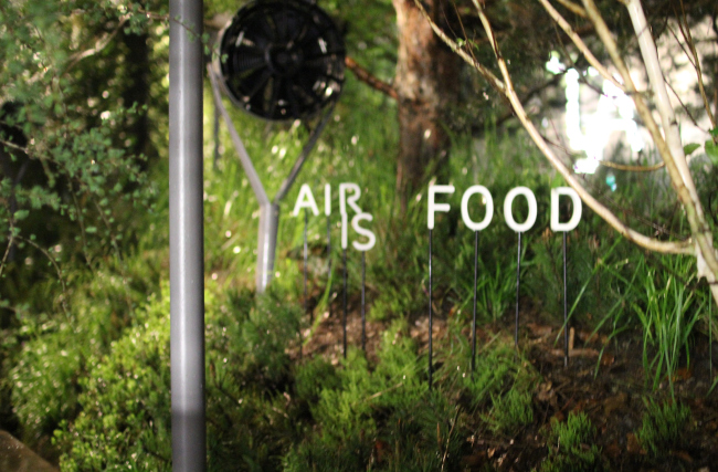 �������� �������. ���������� � ���� ����������