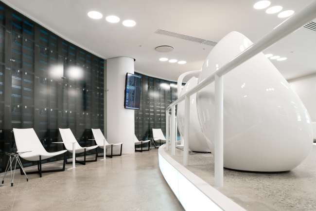 �������� ������ ��������� �������������� ��������� ������� � ������. ���� VIP���lounges � ������������� ���� Nefa Architects. �������� ���� ������