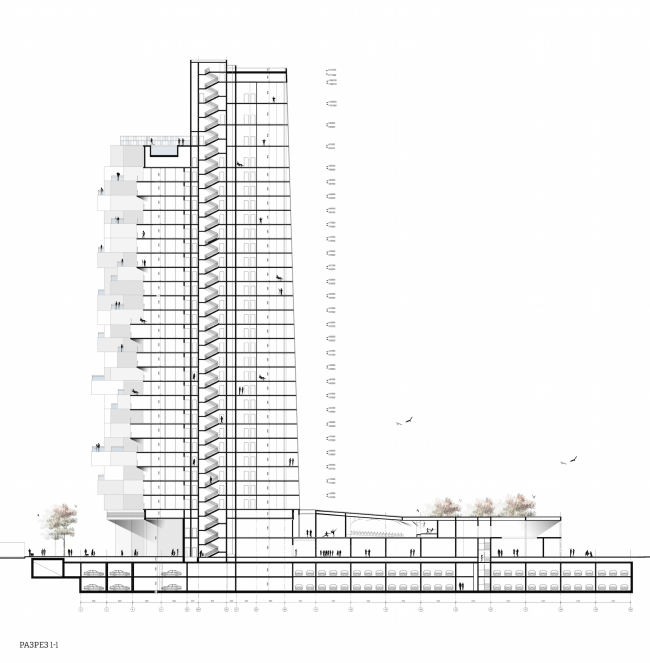 A student housing project.Section view. Author: Polina Korochkova, fourth year student of Moscow Institute of Architecture