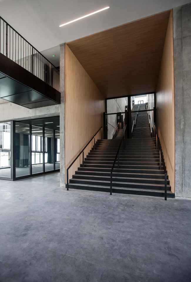 ������������ ������ ������� ����� � Sisley Carnus