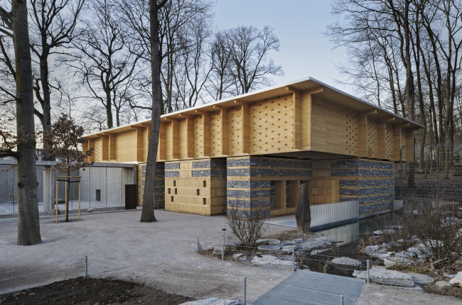 ������ �������. ������ ��� �������� � �������� ��������.  ����: Ralph Hut