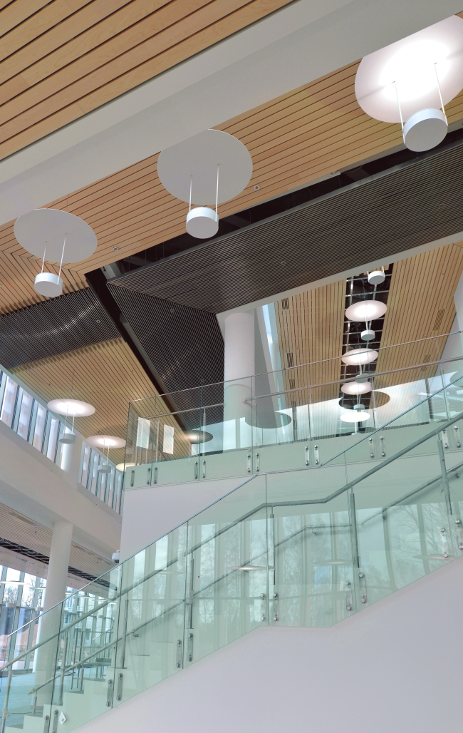 The students' cafe of the Higher Management School of Saint Petersburg State University. Structure. Construction, 2014. Photograph � Margarita Yavein, Tatiana Strekalova