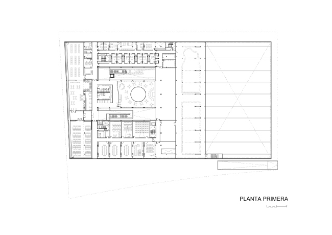 ������������ ����� ������ ��������� � ACXT