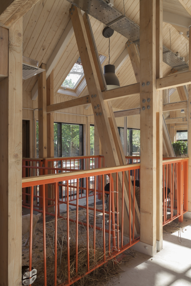 Cow-shed, the orange rails of the pens. Urban farm at VDNKh, 1st phase. WOWhaus Bureau. Photograph  Dmitry Chebanenko