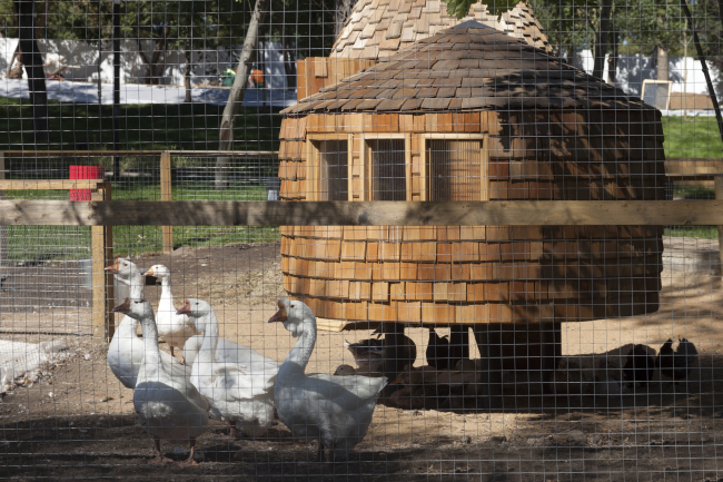 Poultry houses. The house for master classes. Urban farm at VDNKh, 1st phase. WOWhaus Bureau. Photograph  Dmitry Chebanenko