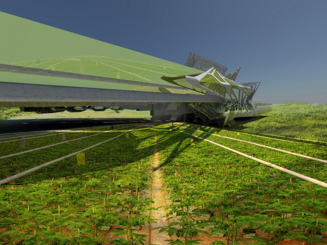 ���������� ������� � ������� ���� � Margot Krasojević