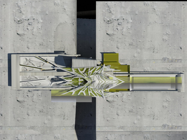 ���������� ������� � ������� ���� � Margot Krasojević