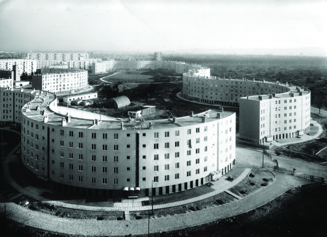 ����� ��� Serpentin (�����������). ������������ ����. ����������� ������������� RVA