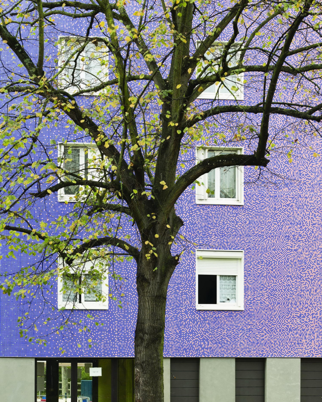 ����� ��� Serpentin (�����������) � Luc Boegly