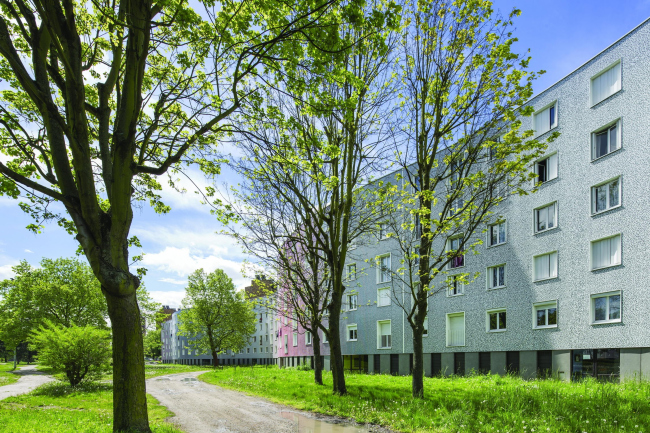 ����� ��� Serpentin (�����������) � Luc Boegly