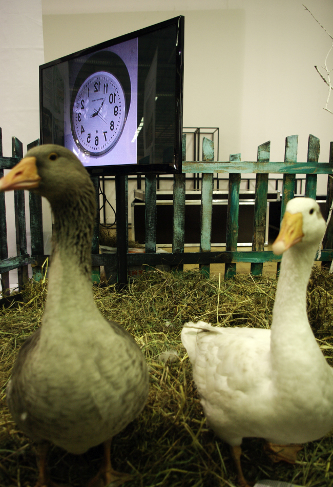 ����� ���������� ������� ��������. ���������� ���� ����������