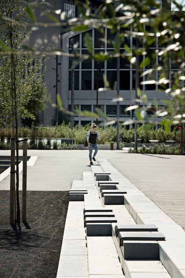 ������ ������� ������������� ����� �������� � Jørgen True