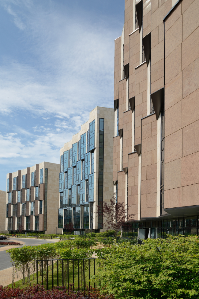 "Skolkovo-Park". Photo  Aleksey Naroditsky, 2015