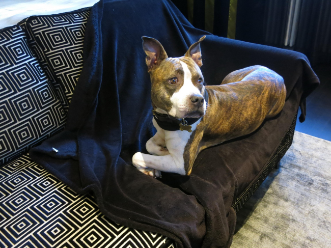 ��������� Hotel Lilla Roberts � Tarja Nurmi