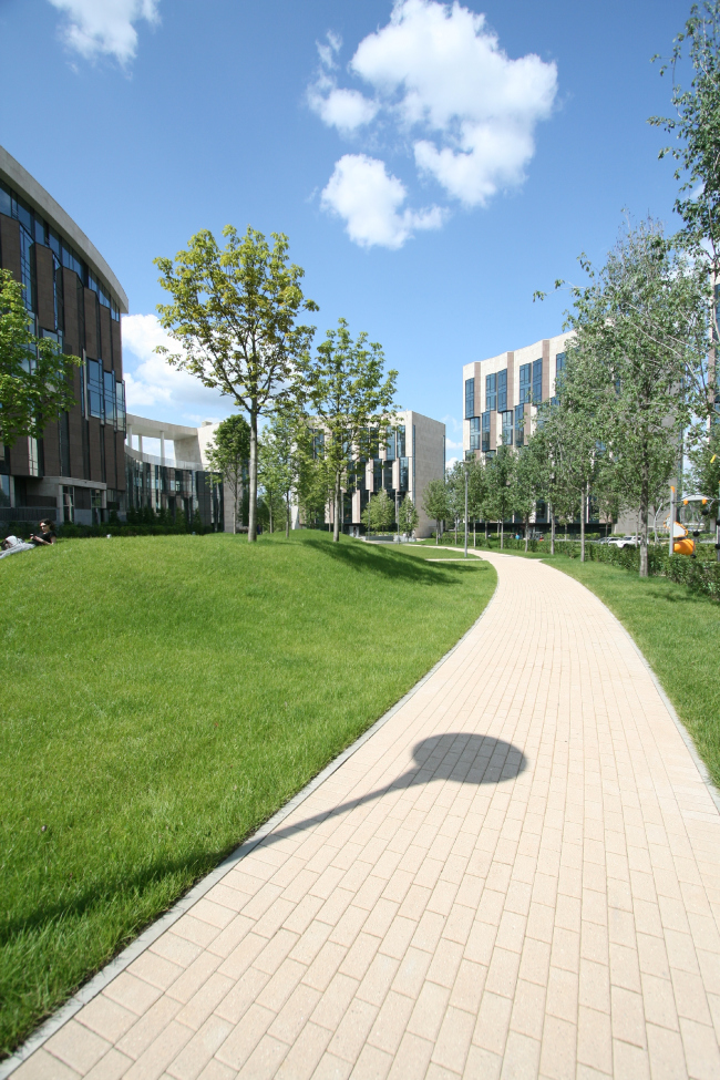 "Skolkovo-Park". Photo  Aleksey Naroditsky, 2015