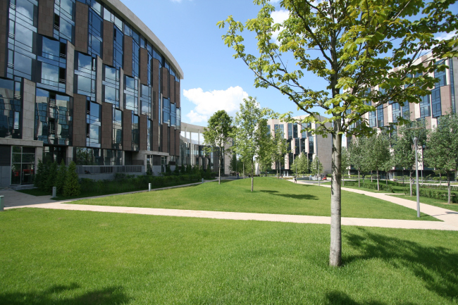 "Skolkovo-Park". Photo  Aleksey Naroditsky, 2015