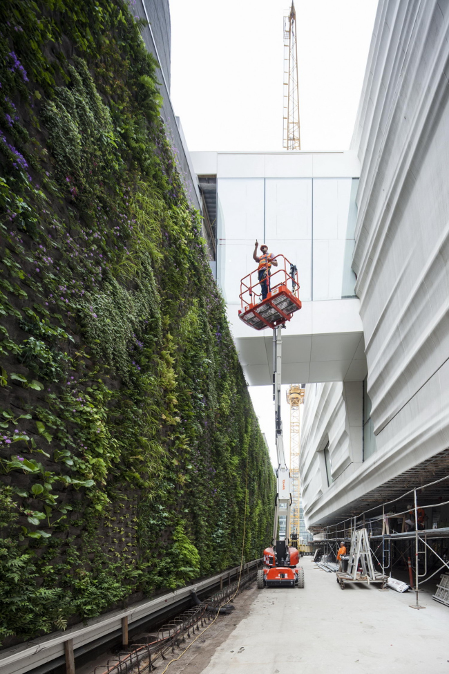      -  Henrik Kam,  SFMOMA