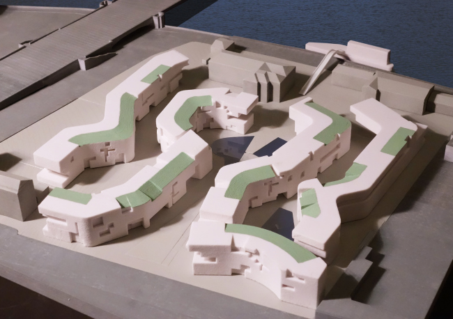 ��� �� ��������� ���������� � Steven Holl Architects (C��)