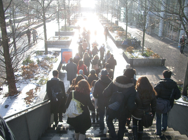 ������� ����, ��� �������� �� ���� ���� ������������ ����, ���� SED, ��������� 2010 ���.