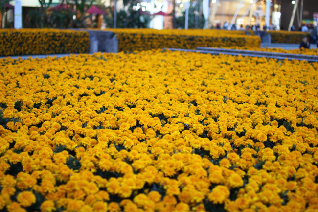 �������� �����. ������: ��������� ������, ����������� �������� ���������� �����, ����������� � ������� � ������. ���������� � ���� ����������