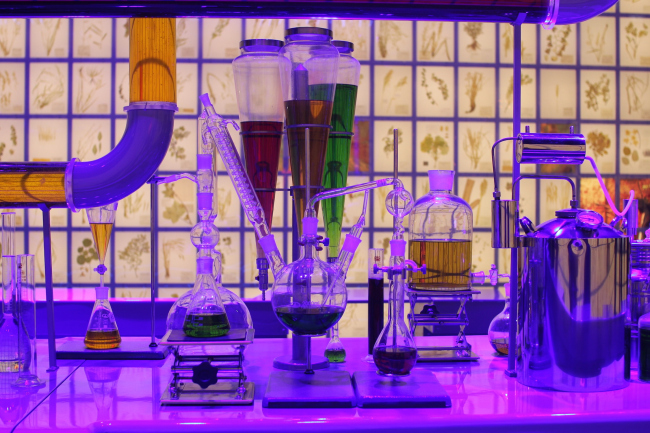 �������� ������. ������: ������������� ���� �SPEECH�. ���������� � ���� ����������