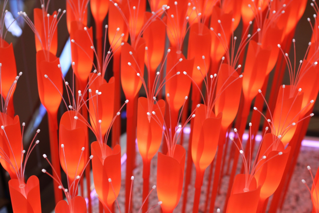 �������� ������������. ���������� � ���� ���������� 