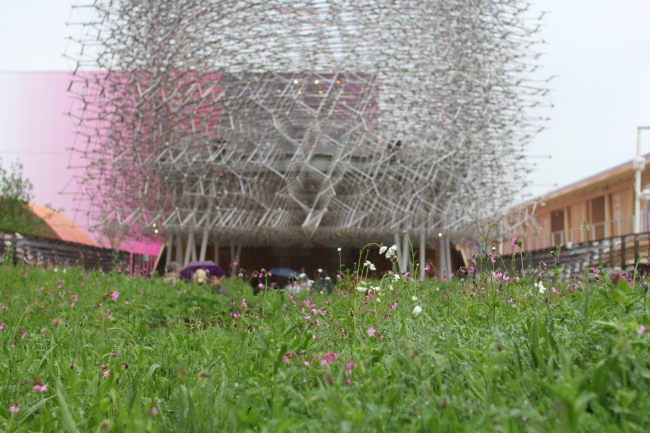 �������� ��������������. �����: ��������� ��������. ���������� � ���� ����������