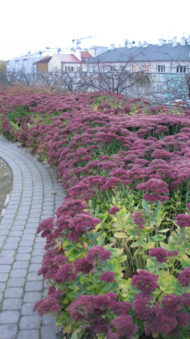 ���������� ����������� ������������. ��� �� �����. ���������, 2000. ���������� � ����� �������