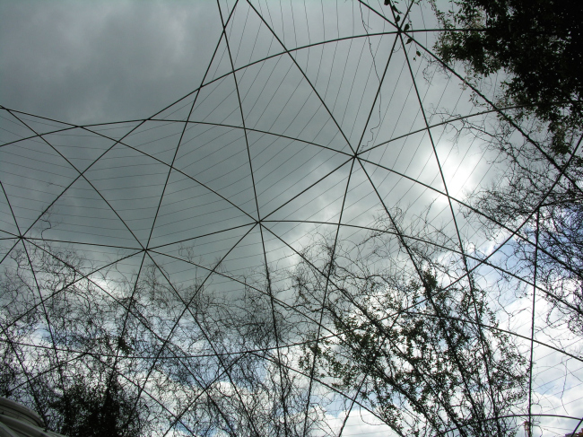 ���������� ����������� ������������. ��� �� �����. ���������, 2000. ���������� � ������������� ���������� �Budzynski & Badowski�