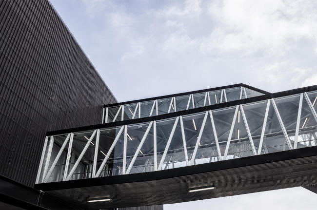 ���� C ��������� ����������� � �������. ����: Egon Gade