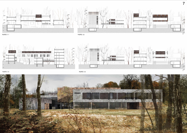 ����������� �������� ������-������ � ������. �����: ������� ����������� 