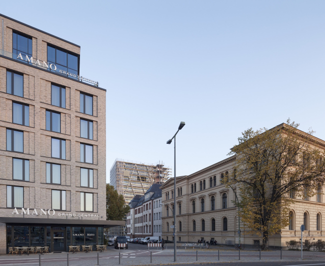 ����� Amano � Ibis � �������� ������� � �������. ���������, 2015. ���������� � Martin Tervoort