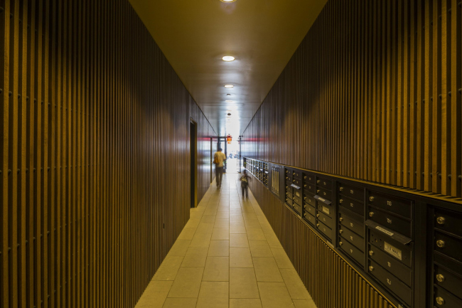 ����� �������� � ������ �����-���� � Wade Zimmerman