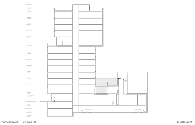 ����� �������� � ������ �����-���� � Adjaye Associates