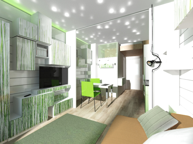 Design concept for efficiency apartments. "Grass" option  Arch group