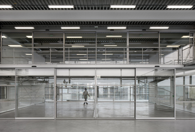 MRI � ������� ����� ������ ��������� � Filip Dujardin