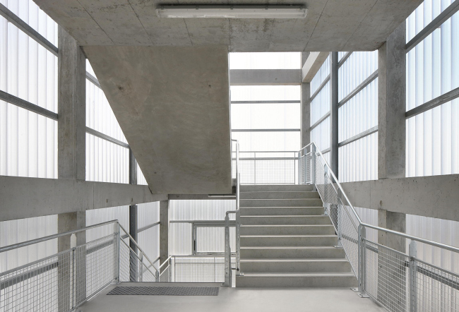 MRI � ������� ����� ������ ��������� � Filip Dujardin