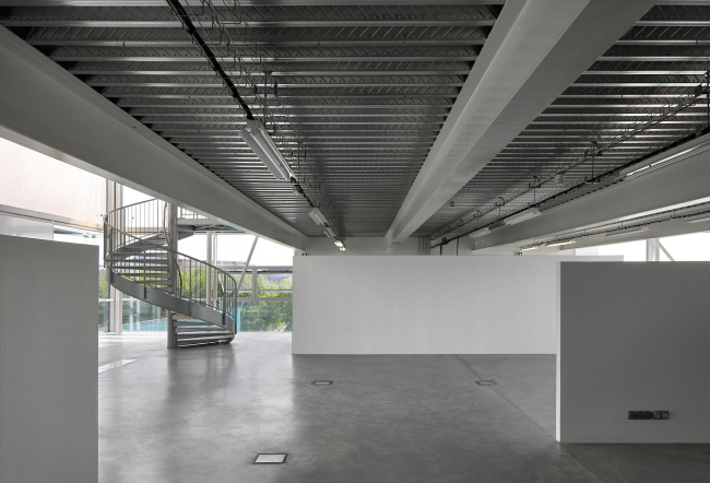 MRI � ������� ����� ������ ��������� � Filip Dujardin