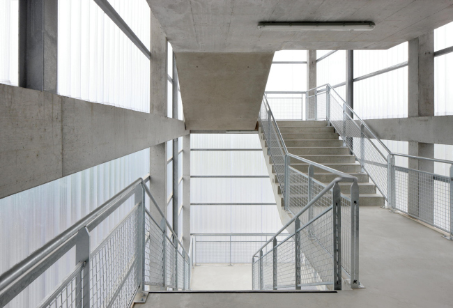 MRI � ������� ����� ������ ��������� � Filip Dujardin