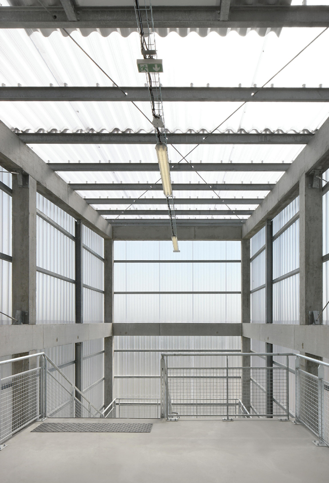 MRI � ������� ����� ������ ��������� � Filip Dujardin