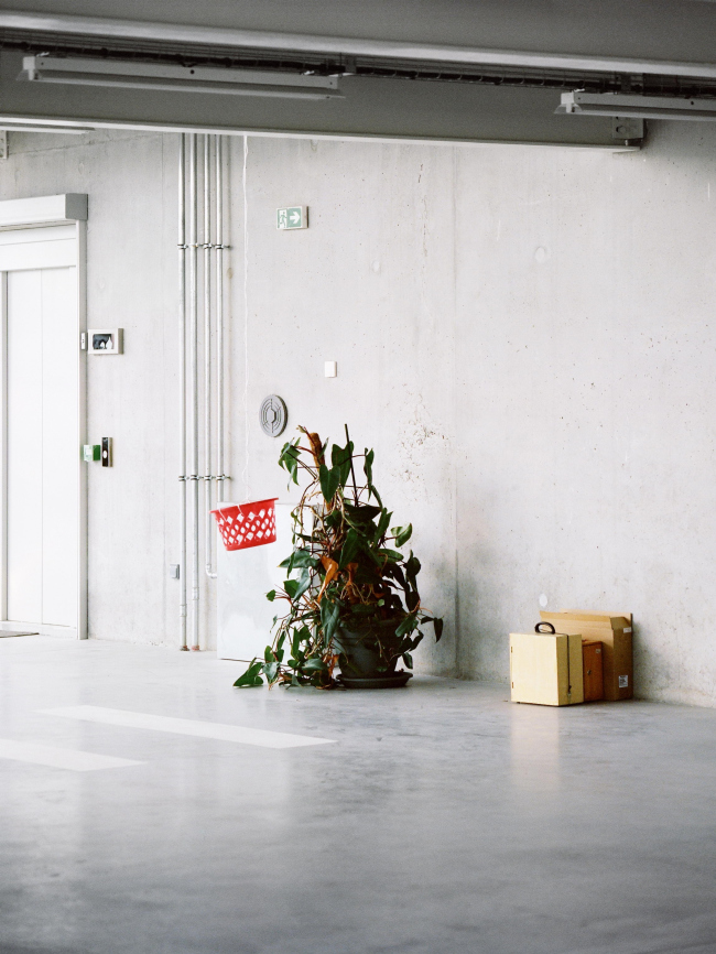 MRI � ������� ����� ������ ��������� � Julien Hourcade