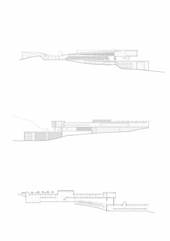 ������������ ����� ����������� � ������� � Vector Architects