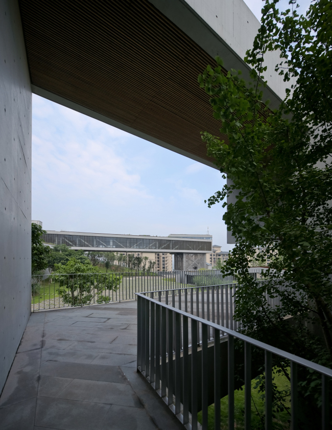 ������������ ����� ����������� � ������� � Su Shengliang