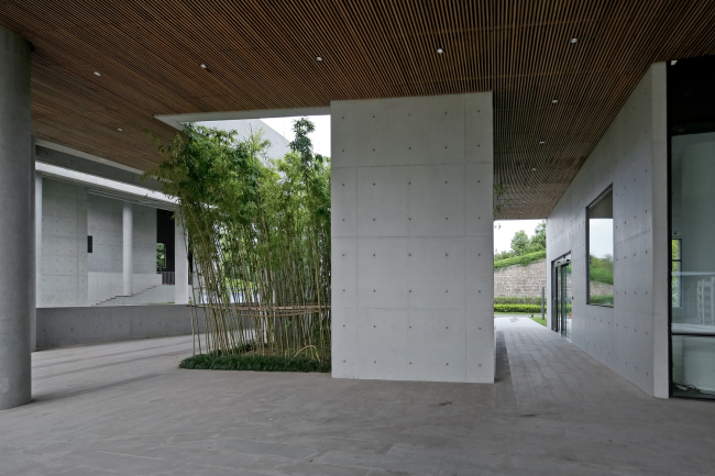 ������������ ����� ����������� � ������� � Su Shengliang