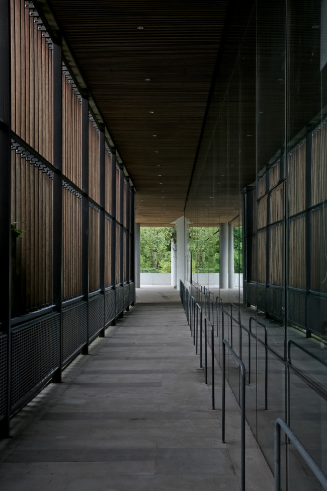 ������������ ����� ����������� � ������� � Su Shengliang