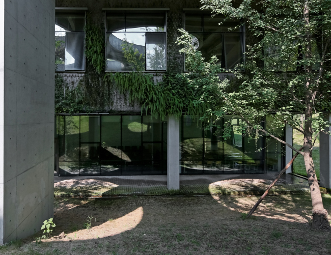 ������������ ����� ����������� � ������� � Su Shengliang