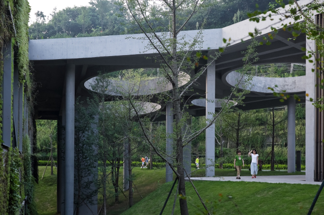 ������������ ����� ����������� � ������� � Su Shengliang