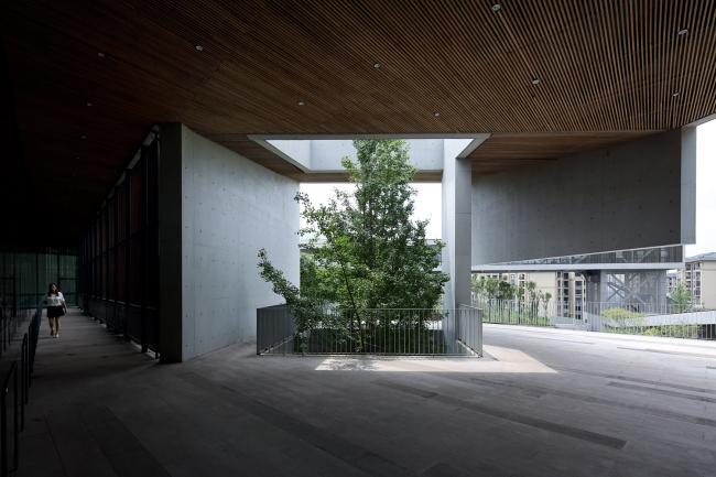 ������������ ����� ����������� � ������� � Su Shengliang